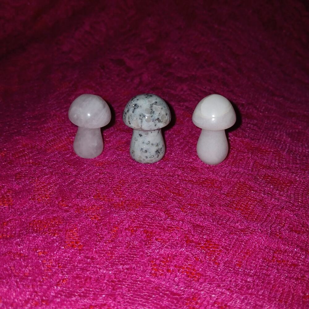 Mushroom Crystals